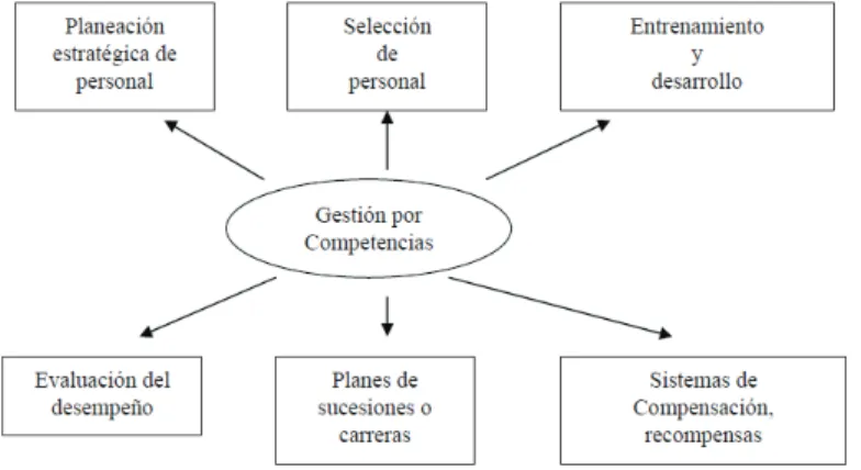 Figura 4 – Finalidades de la Gestión por Competencias 