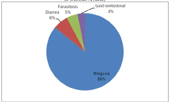 GRÁFICO N° 13 