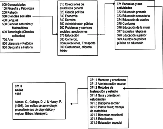 FIGURA 11 CÓDIGO DE CLASIFICACIÓN 