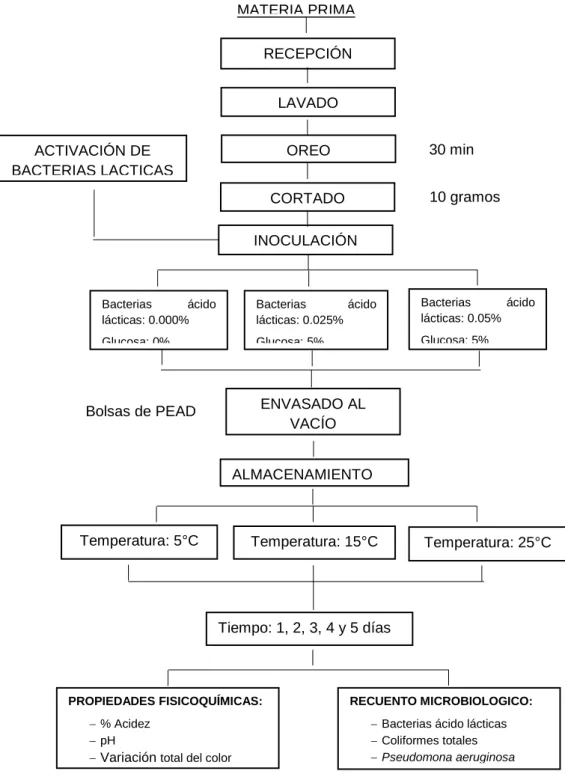 Figura  3.  Diagrama de flujo para  la  evaluación  de  la  conservación  de  carne  de  ovino Corriedale con bacterias ácido lácticas envasado al vacío 