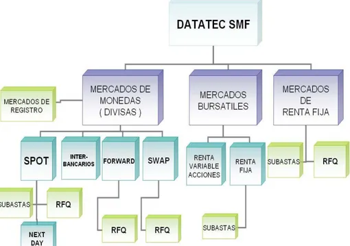 Figura 1.3 - Esquema de módulos que comprende el sistema SMF 