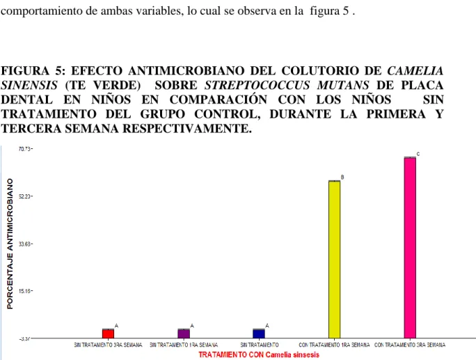 FIGURA  5:  EFECTO  ANTIMICROBIANO  DEL  COLUTORIO  DE  CAMELIA  SINENSIS  (TE  VERDE)    SOBRE  STREPTOCOCCUS  MUTANS  DE  PLACA  DENTAL  EN  NIÑOS  EN  COMPARACIÓN  CON  LOS  NIÑOS      SIN  TRATAMIENTO  DEL  GRUPO  CONTROL,  DURANTE  LA  PRIMERA  Y  TER