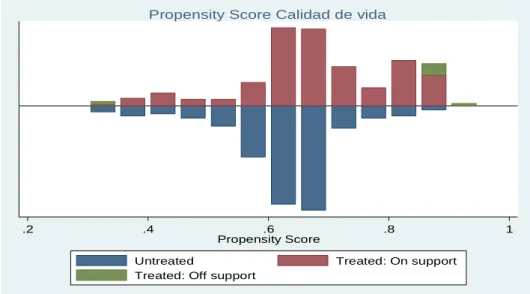 GRÁFICO 8  