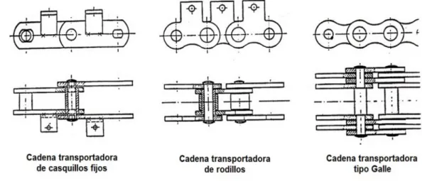 Figura 7: Tipos de cadenas 