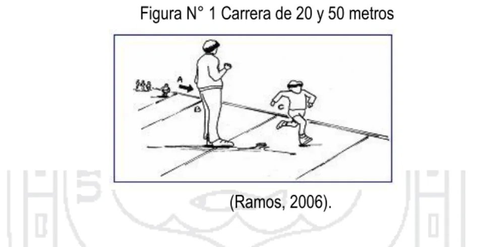 Figura N° 1 Carrera de 20 y 50 metros 