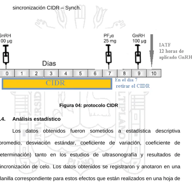 Figura 04: protocolo CIDR 