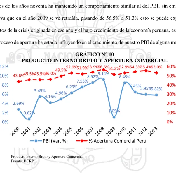 GRÁFICO N° 10  