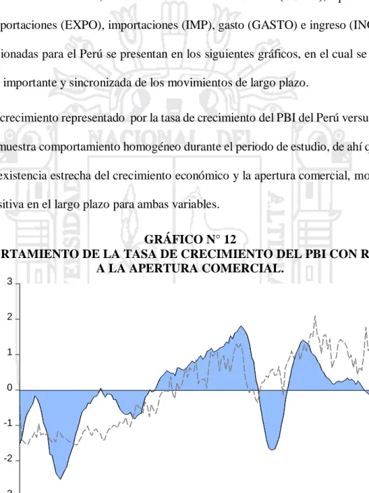 GRÁFICO N° 12 