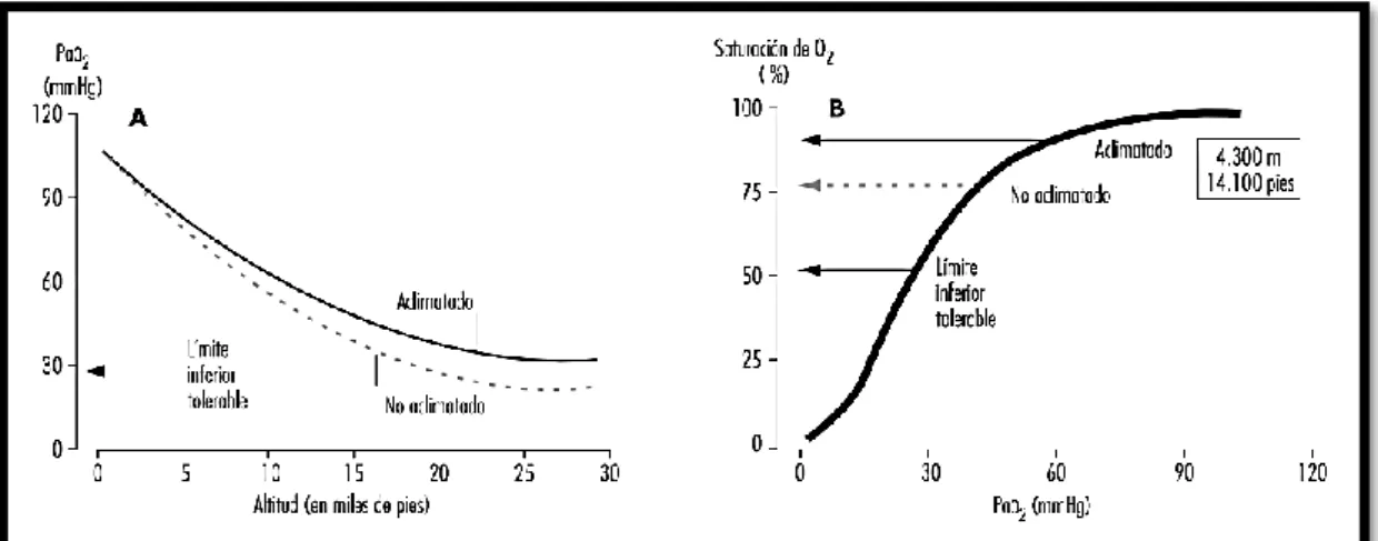 FIGURA Nº 1 ACLIMATIZACIÓN VENTILATORIA 