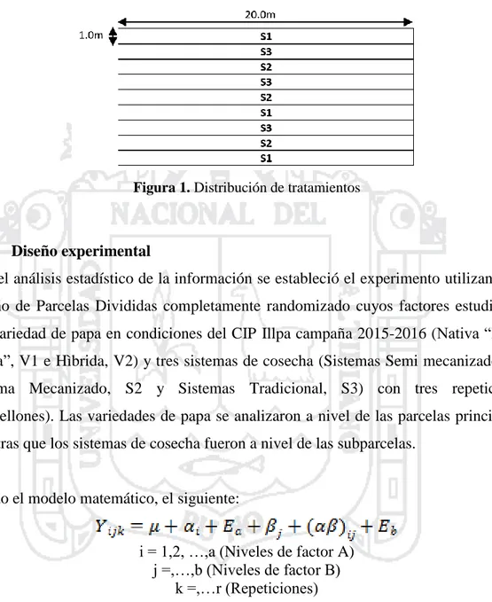 Figura 1. Distribución de tratamientos 