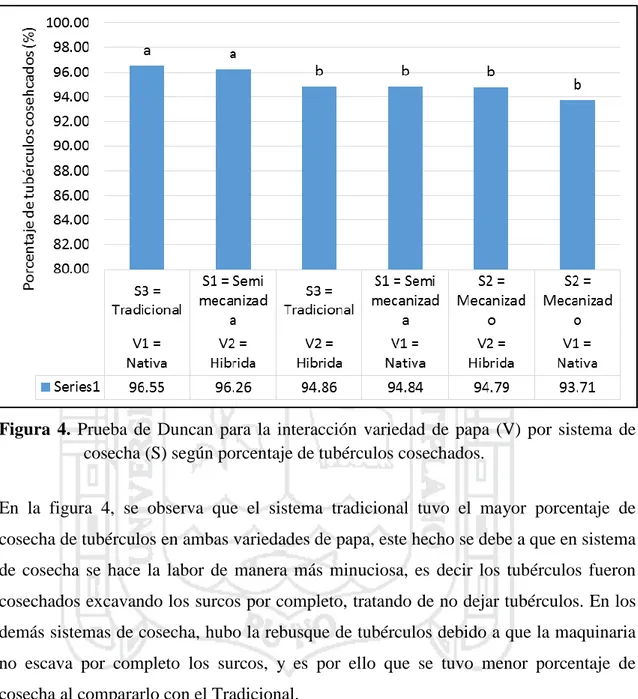 Figura  4.  Prueba  de  Duncan  para  la  interacción  variedad  de  papa  (V)  por  sistema  de  cosecha (S) según porcentaje de tubérculos cosechados