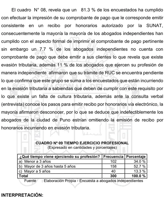 CUADRO Nº 09 TIEMPO EJERCICIO PROFESIONAL  (Expresado en cantidades y porcentajes) 