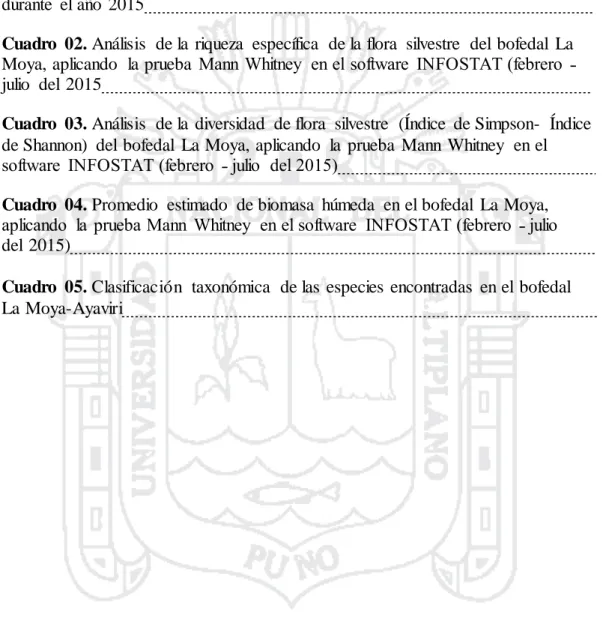 Cuadro  01. Promedios  de precipitación  pluvial  (mm),  en el distrito  de Ayaviri   