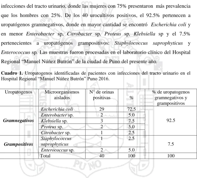 Cuadro  1.  Uropatogenos  identificadas  de  pacientes  con  infecciones  del  tracto  urinario  en  el  Hospital Regional “Manuel Núñez Butrón” Puno 2016