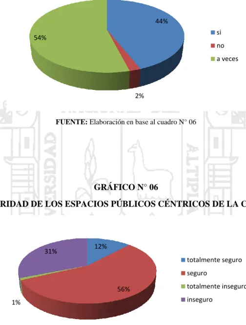 GRÁFICO N° 06 