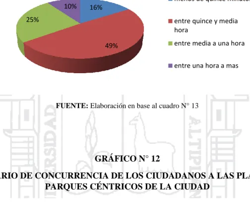 GRÁFICO N° 12 