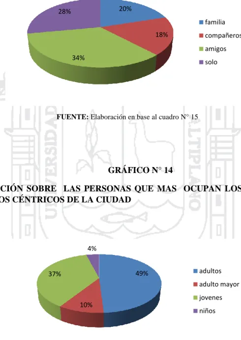 GRÁFICO N° 14 