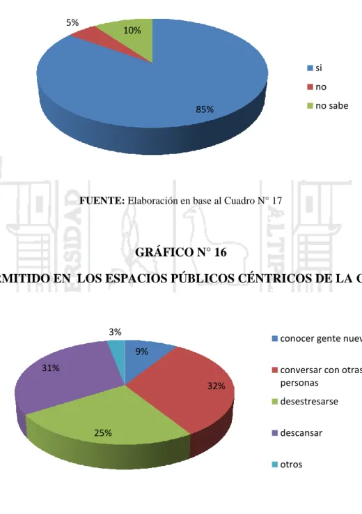 GRÁFICO N° 16 