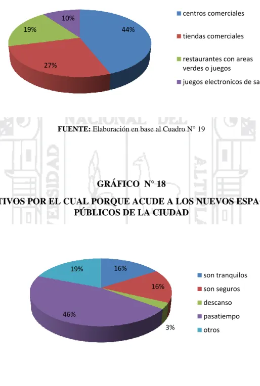 GRÁFICO  N° 18 