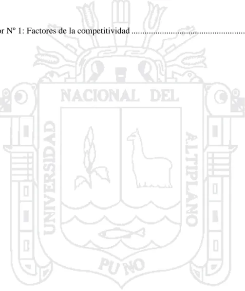 Ilustración Nº  1: Cadena de valor ..........................................................................................