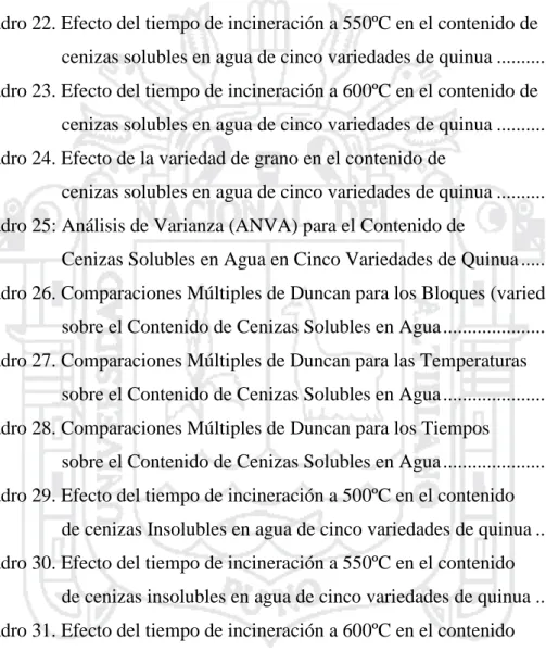 Cuadro 21. Efecto del tiempo de incineración a 500ºC en el contenido de