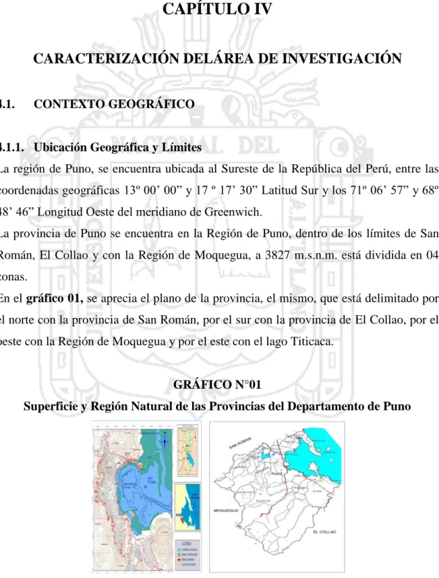 GRÁFICO N°01 