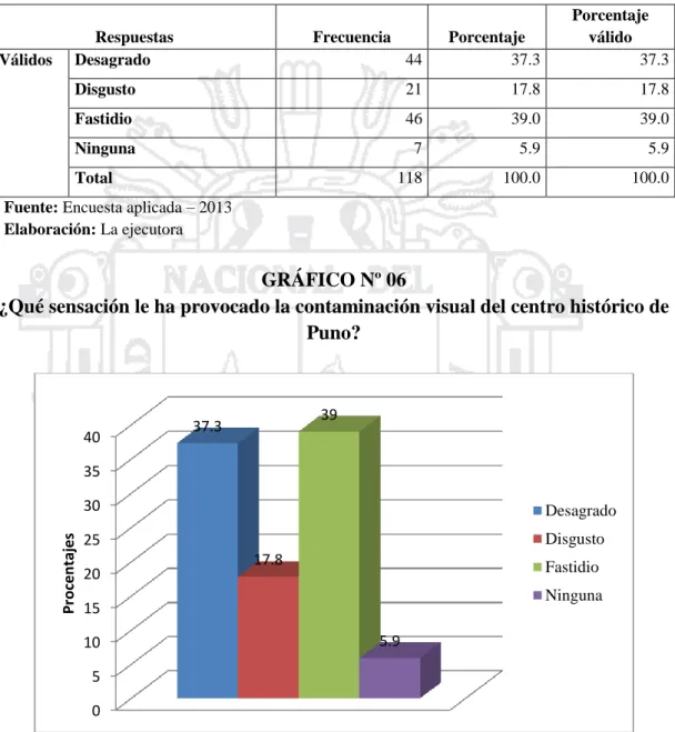 GRÁFICO Nº 06 