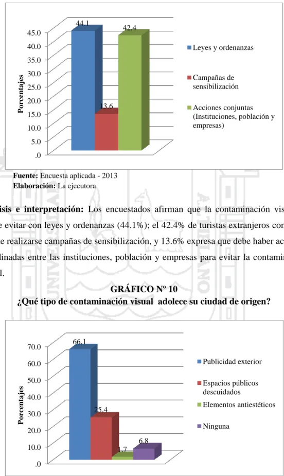 GRÁFICO Nº 10 
