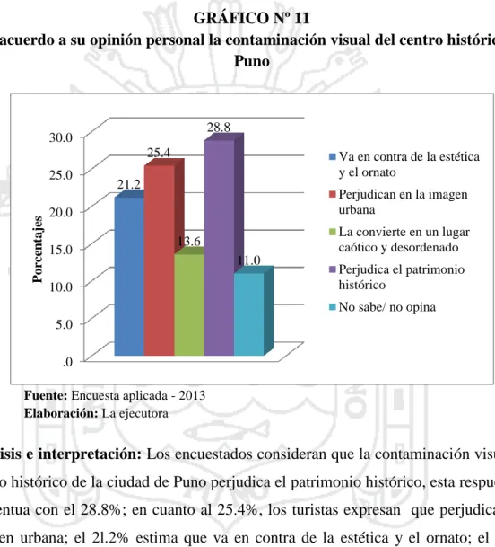 GRÁFICO Nº 11 