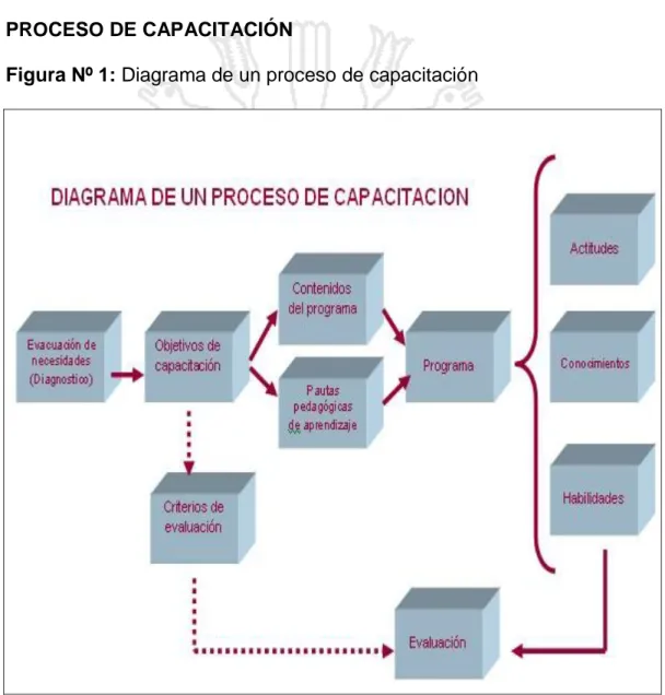 Figura Nº 1: Diagrama de un proceso de capacitación 