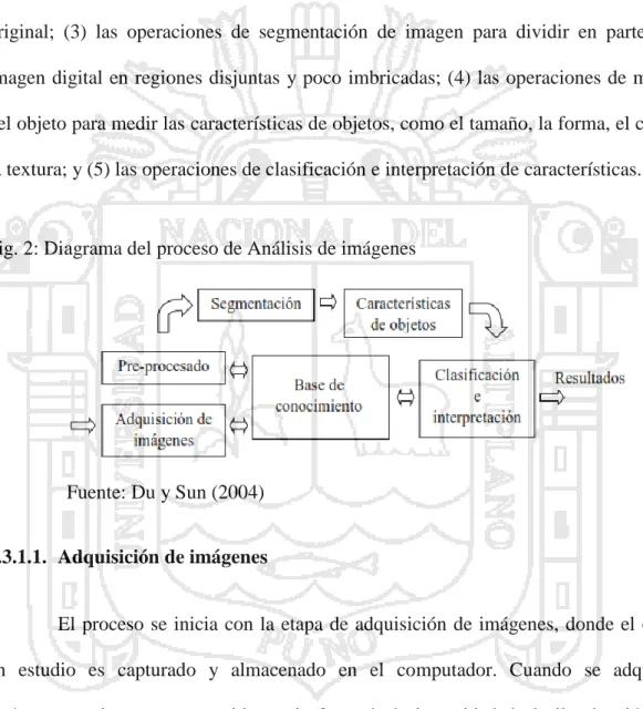Fig. 2: Diagrama del proceso de Análisis de imágenes 