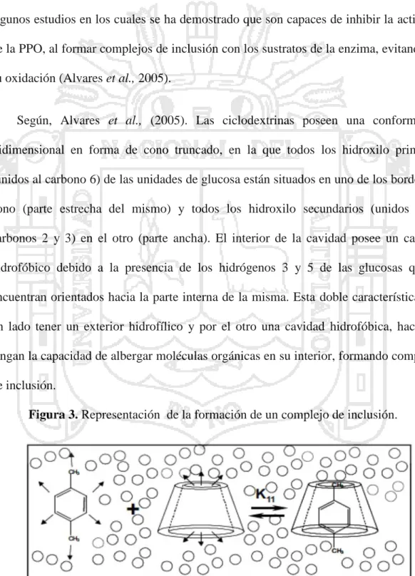 Figura 3. Representación de la formación de un complejo de inclusión.