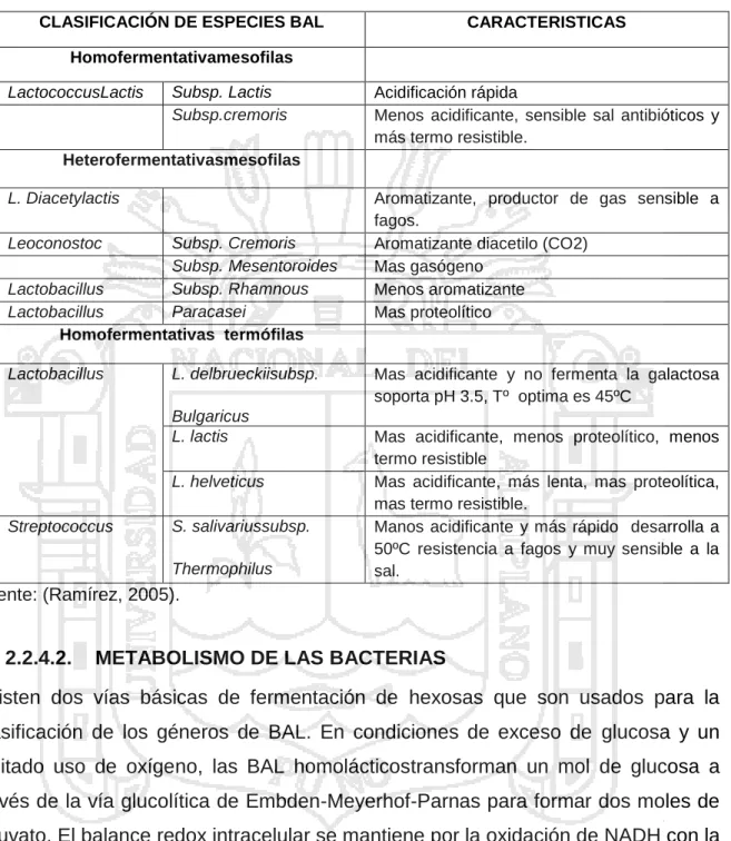 CUADRO Nº05  ALGUNAS BACTERIAS ACIDAS LACTICAS IMPORTANTES 