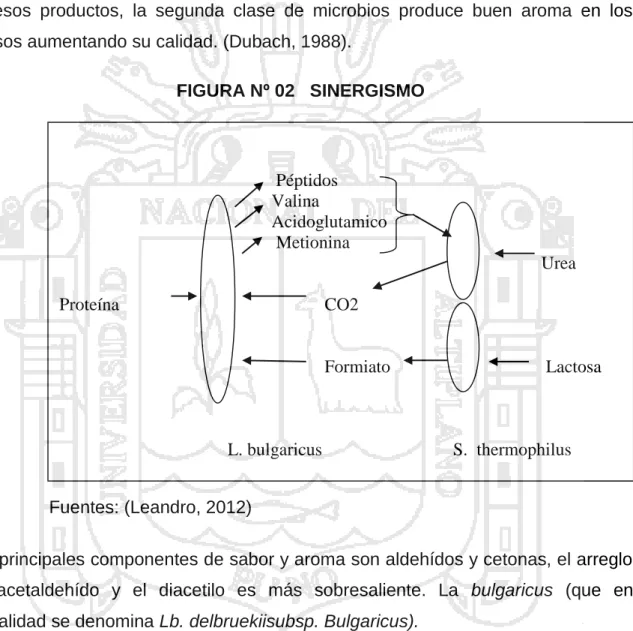 FIGURA Nº 02   SINERGISMO   