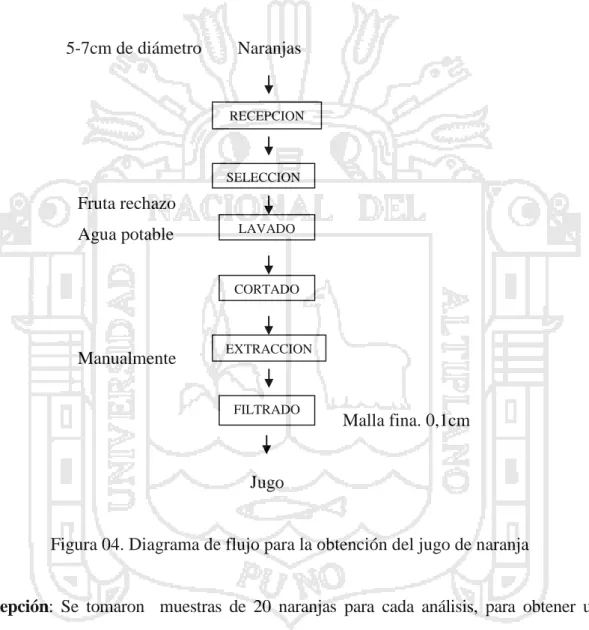 Figura 04. Diagrama de flujo para la obtención del jugo de naranja 