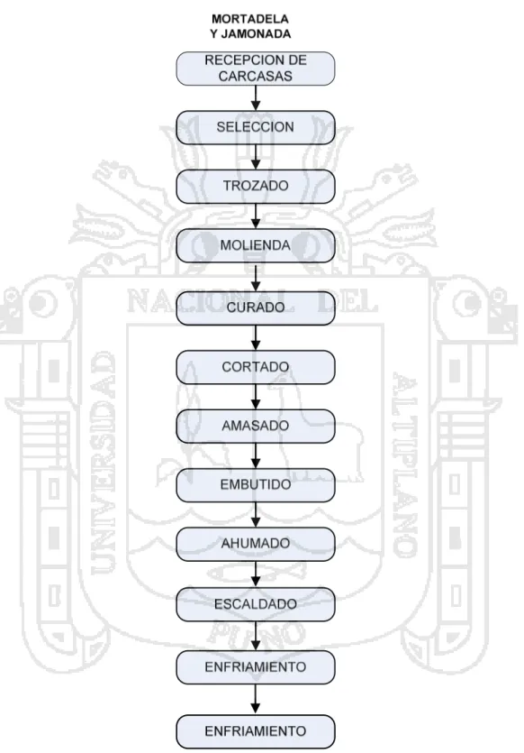 FIGURA 4. DIAGRAMA DE FLUJO CUALITATIVO DE ELABORACION DE EMBUTIDOS CRUDOS