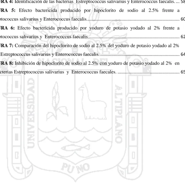 FIGURA 1: Estructura de la célula bacteriana ...............................................................................