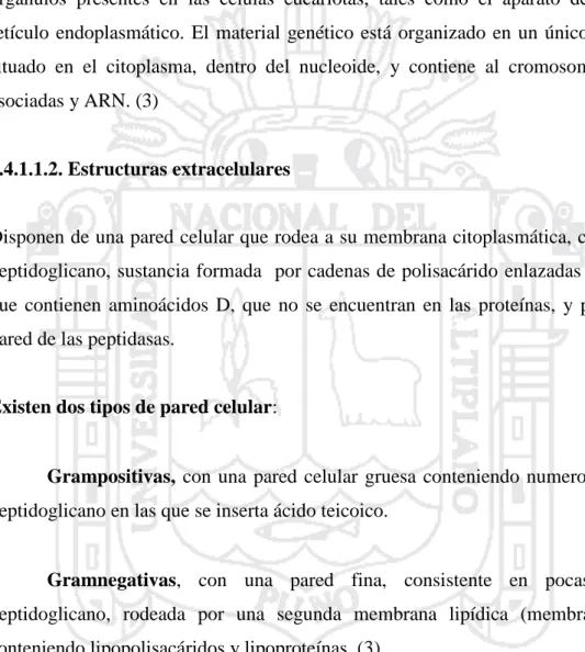 FIGURA 2: Estructura de la pared celular bacteriana 