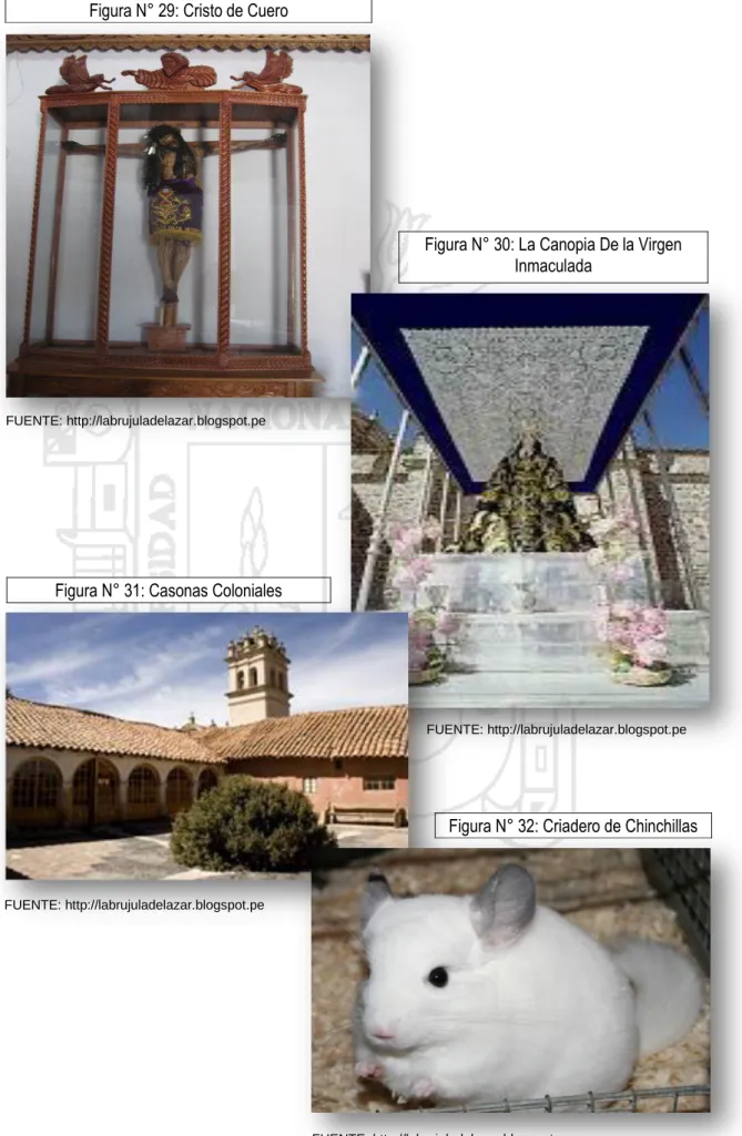 Figura N° 30: La Canopia De la Virgen  Inmaculada
