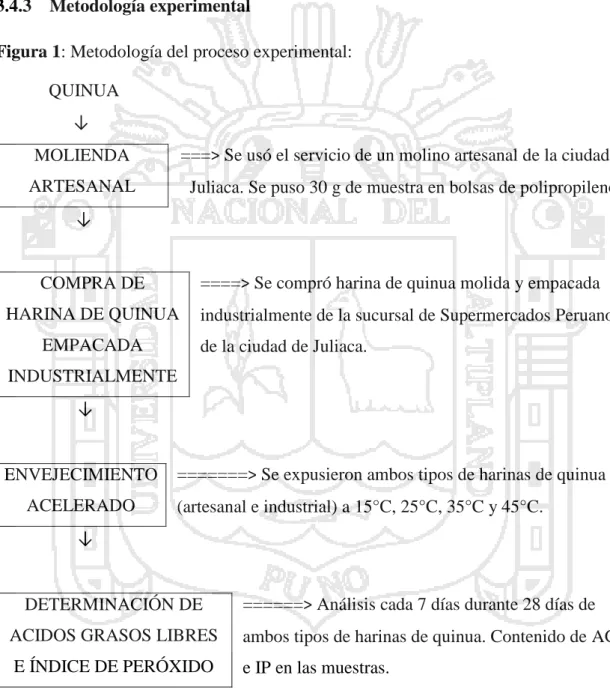 Figura 1: Metodología del proceso experimental: 