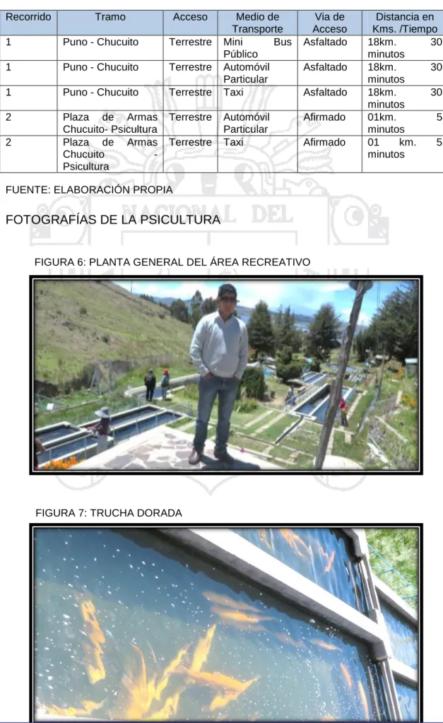 TABLA 4: ACCESO A LA PSICULTURA DE CHUCUITO 