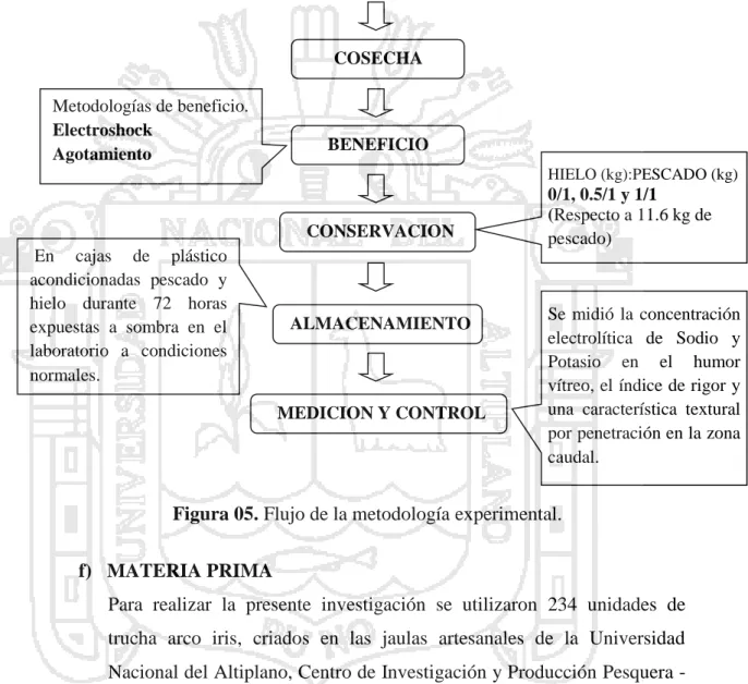 Figura 05. Flujo de la metodología experimental.