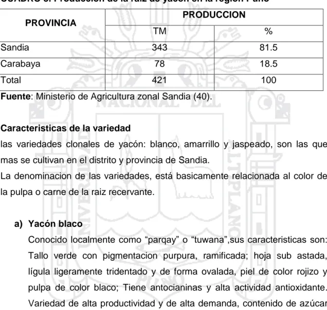 CUADRO 3. Producción de la raíz de yacón en la región Puno 