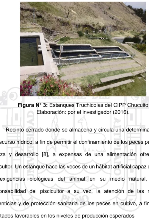 Figura N° 3: Estanques Truchicolas del CIPP Chucuito   Elaboración: por el investigador (2016)