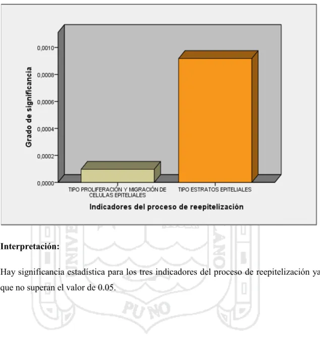 GRÁFICO N° 6