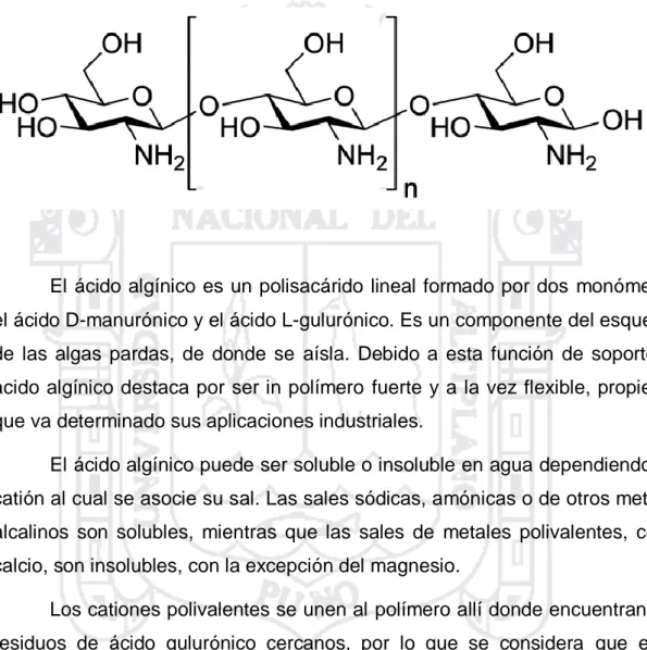 Figura 7. Estructura del chitosan 