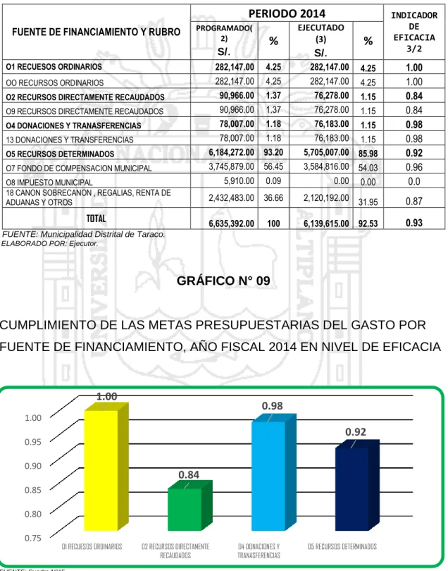 GRÁFICO N° 09 