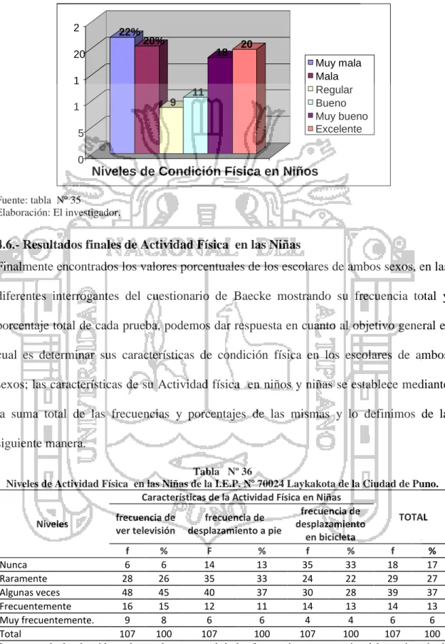 Gráfico  Nº 33. 