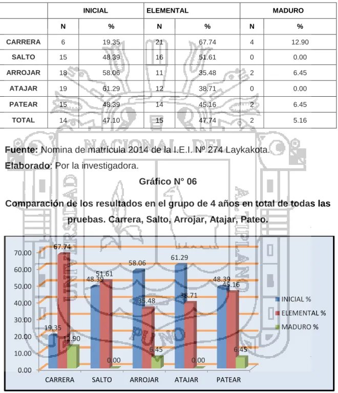 Gráfico N° 06 