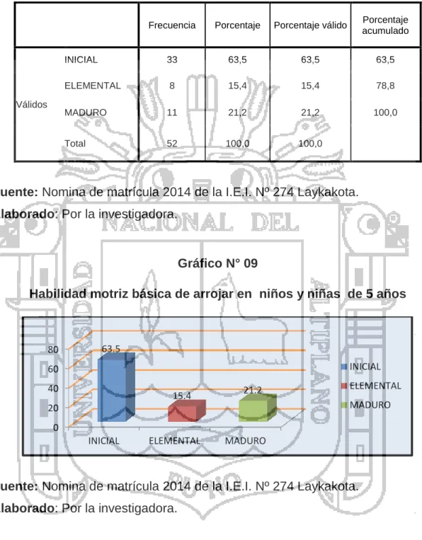 Gráfico N° 09 